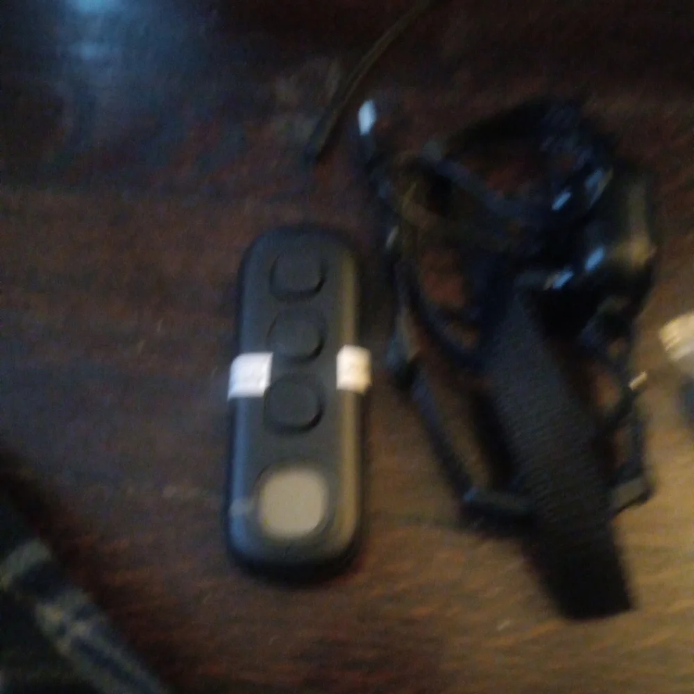Remote Pet Training Collar with LCD Display